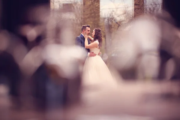 Bride and groom embracing — Stock Photo, Image