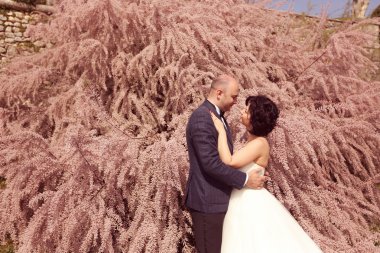 Gelin ve damat doğada kucaklayan