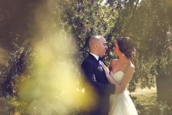 Bride and groom dancing — Stock Photo, Image