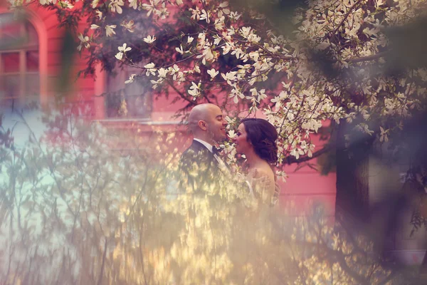 Gelin ve damat ilkbahar;