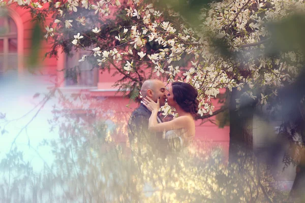 新娘和新郎在春天 — 图库照片