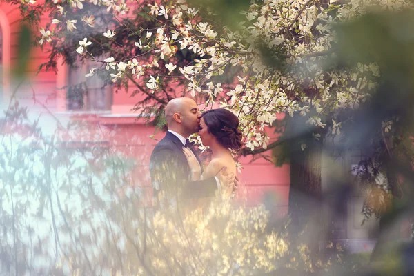 Gelin ve damat ilkbahar