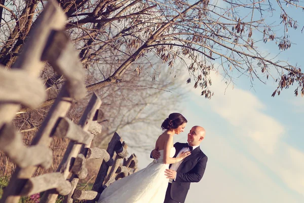 Bride and groom embracing — Stock Photo, Image