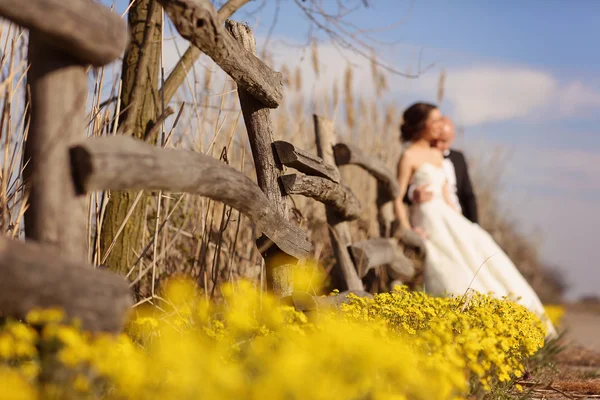 Fiori di campo gialli con sposa e sposo come silhouette — Foto Stock
