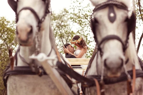 Bride and groom in a white carriage — Stock Photo, Image