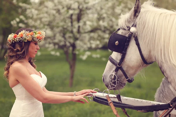 Bruid spelen met witte paarden — Stockfoto