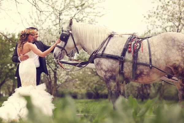 Gelin ve damat ile beyaz at oynarken