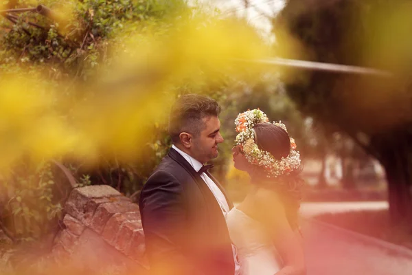 Casal nupcial bonita — Fotografia de Stock