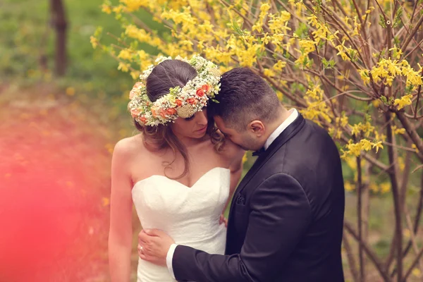 Hermosa pareja nupcial — Foto de Stock