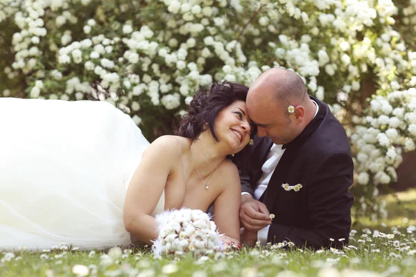 Bride and groom laying on marguerite field — Stock Photo, Image