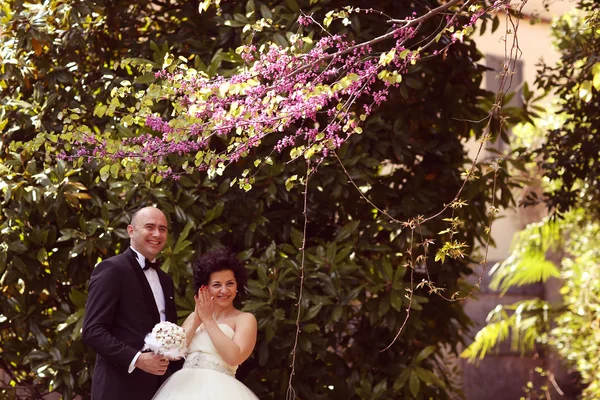 Sposa e sposo in natura — Foto Stock