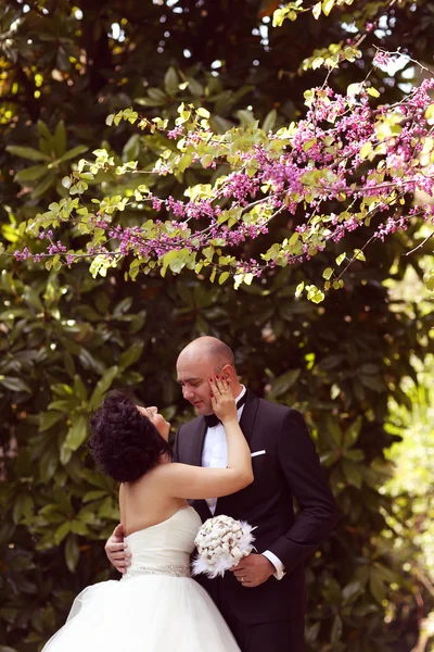 Novia y novio en la naturaleza — Foto de Stock