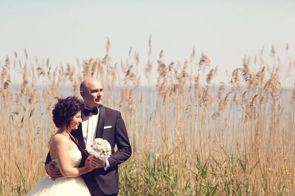 Bride and groom surrounded by rush — Stock Photo, Image