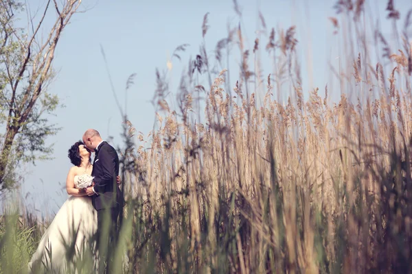 Bride and groom surrounded by rush — Stock Photo, Image