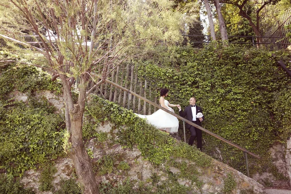 Bride and groom on stairs — Stock Photo, Image