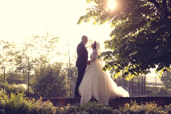 Bride and groom in sulight — Stock Photo, Image