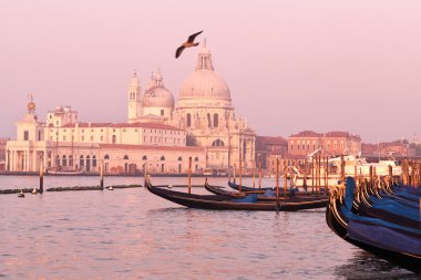 Geleneksel gondol güzel manzarasına Canal Grande üzerinde