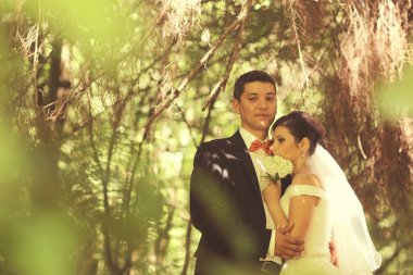 Parkta kucaklayan mutlu gelin Çift