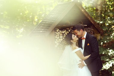 Parkta kucaklayan mutlu gelin Çift