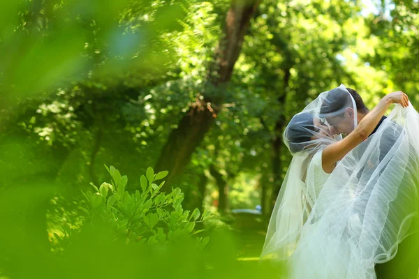 Gelukkig bruidspaar omarmen in park — Stockfoto