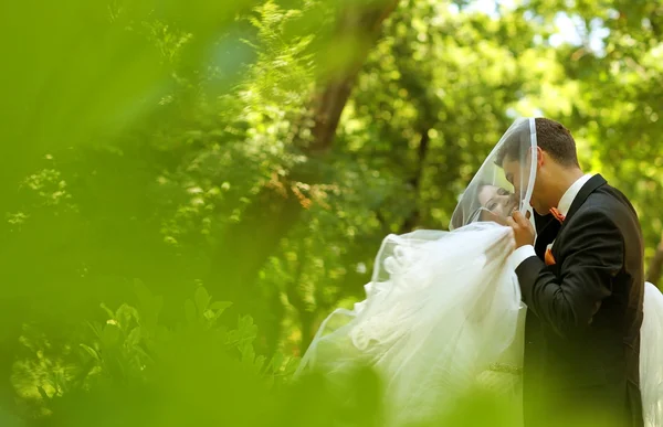 Happy bridal couple embracing in park — Stock Photo, Image