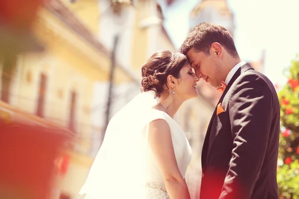 Feliz casal nupcial abraçando no parque — Fotografia de Stock