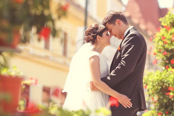 Feliz casal nupcial abraçando no parque — Fotografia de Stock