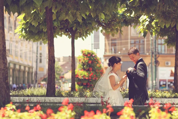 Lyckliga brudparet embracing i park — Stockfoto