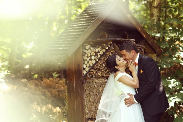 A boldog pár esküvői átfogó park — Stock Fotó