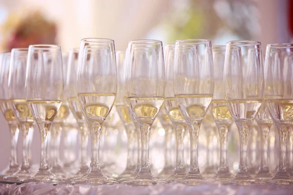 Glasses of champagne — Stock Photo, Image