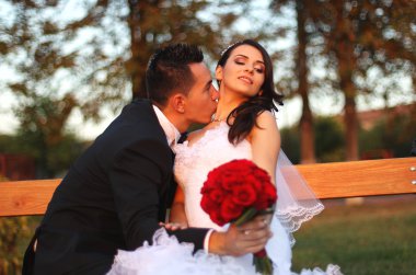 Gelin ve damat parkta kucaklayan