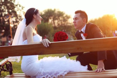 Gelin ve damat parkta kucaklayan