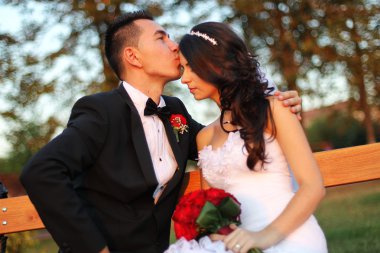 Gelin ve damat parkta kucaklayan