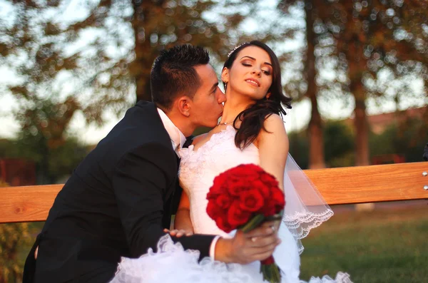 Bruden och brudgummen embracing i park — Stockfoto