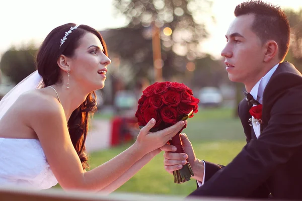 Gelin ve damat parkta kucaklayan — Stok fotoğraf