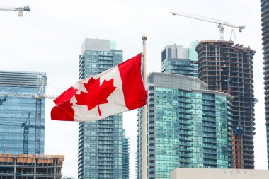 Kanada bayrağı ve Toronto şehir manzarası