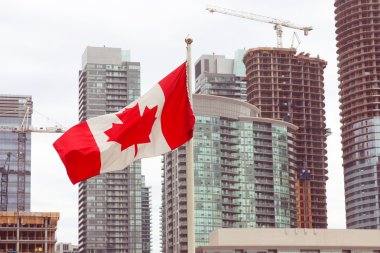 Kanada bayrağı ve Toronto şehir manzarası