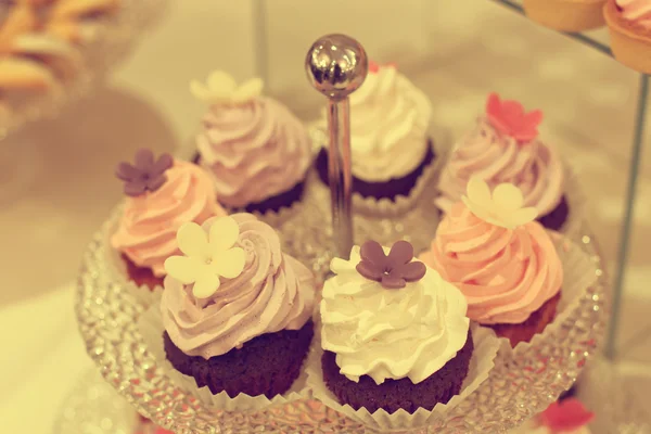 Deliciosos cupcakes em stand — Fotografia de Stock