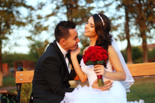 Beautiful bridal couple embracing in park — Stock Photo, Image