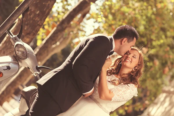 Noivo e noiva beijando no parque — Fotografia de Stock