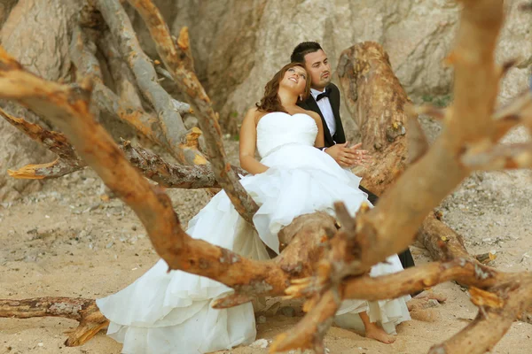 Mariée et marié assis sur un grand arbre — Photo