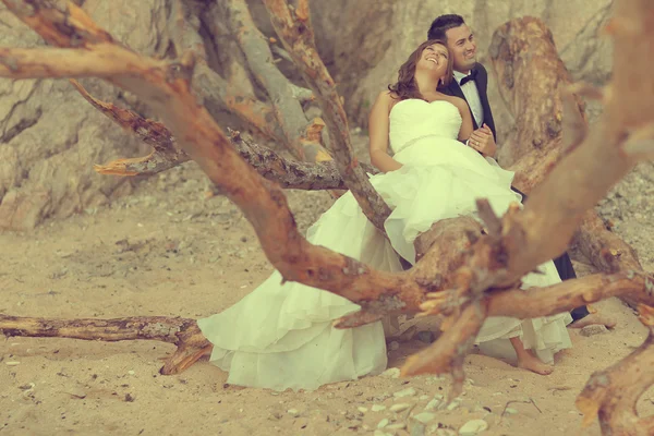 Noiva e noivo sentados em uma árvore grande — Fotografia de Stock