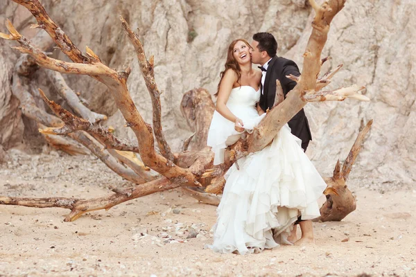 Braut und Bräutigam auf einem großen Baum — Stockfoto