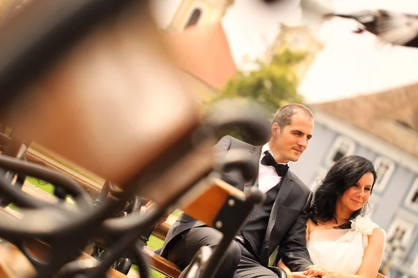 Gyönyörű esküvői pár ül a padon, a város főterén — Stock Fotó