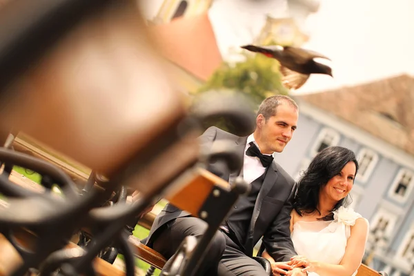 Beautiful bridal couple sitting on a bench in city square — Stock Photo, Image