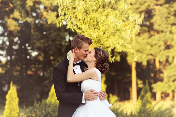 美丽的新婚夫妇拥抱和亲吻 — 图库照片