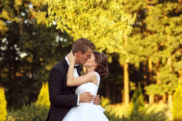 Beautiful bridal couple embracing and kissing — Stock Photo, Image