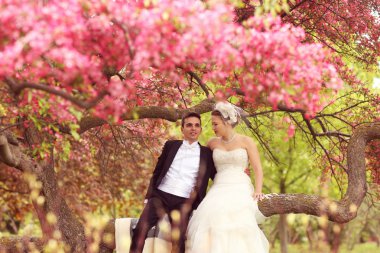 Gelin ve damat parkta kucaklayan
