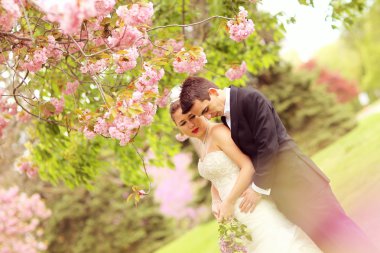 Gelin ve damat parkta kucaklayan