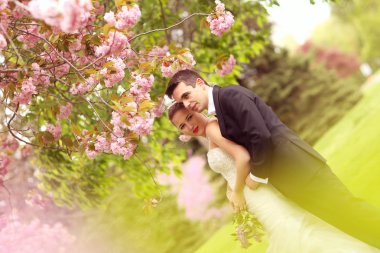 Gelin ve damat parkta kucaklayan